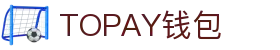 TOPAY钱包 - 安全便捷的个人财务管理工具
